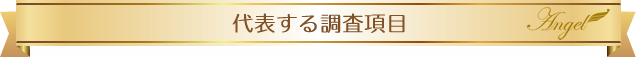 代表する調査項目